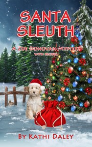 Santa Sleuth Facebook